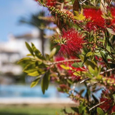 Avalon Apartment Javea Ngoại thất bức ảnh