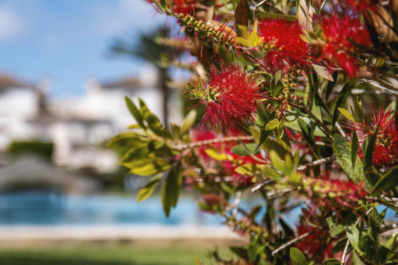 Avalon Apartment Javea Ngoại thất bức ảnh